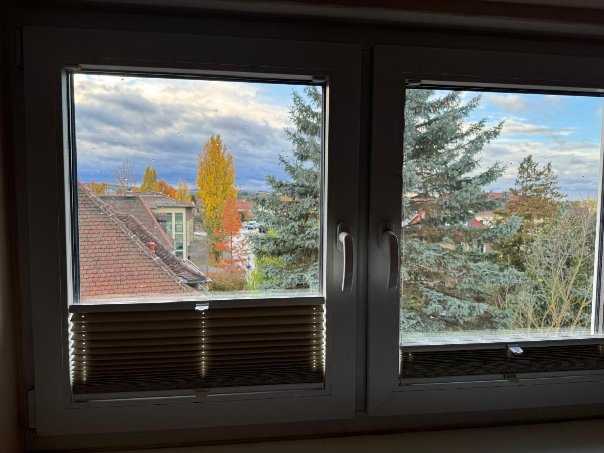 205 Qm "Traumtor" Mit Sauna, Whirlpool, Kamin Und 3 Terrassen Mit Blick In Die Boehmisch Saechsische Schweiz Dresda Esterno foto